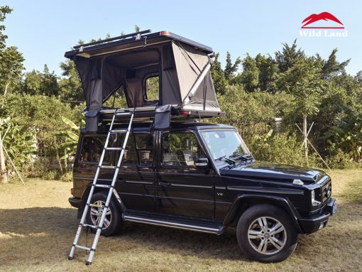 Wild Land Rock Cruiser