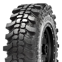 CST LAND DRAGON CL28
