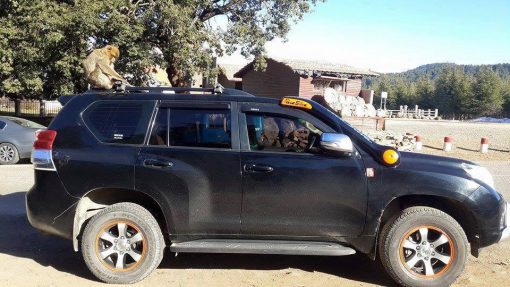Roca Silva snorkel Toyota Land Cruiser 150/155 - Afbeelding 8