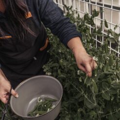 Alternative view of BAREBONES - MIXING BOWL/ENAMEL/SET 2 PCS STONE GREY