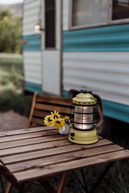 BAREBONES - FOREST LANTERN DUSTY YELLOW - Afbeelding 3