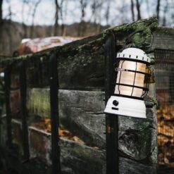 BAREBONES - FOREST LANTERN VINTAGE WHITE - Afbeelding 5