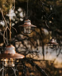 BAREBONES - EDISON STRING LIGHTS COPPER