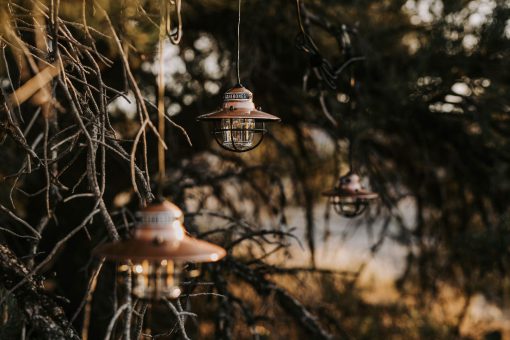 BAREBONES - EDISON STRING LIGHTS COPPER