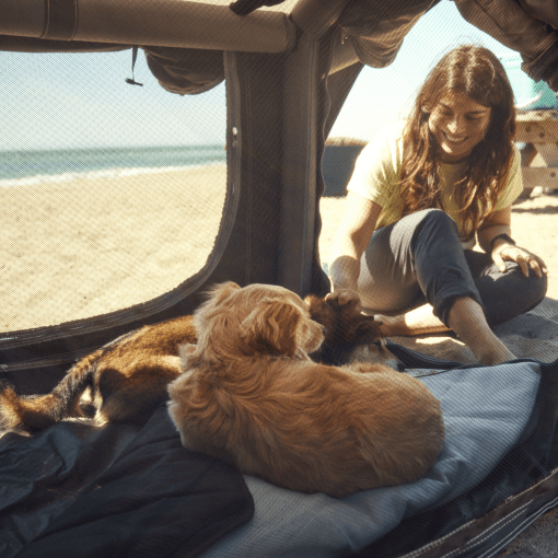 Dometic - K9 80 AIR - Afbeelding 5