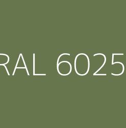 Raptor Liner - 1L RAL6025