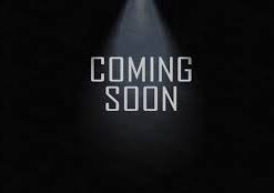 Bullram - Opbergkist traanplaat groot